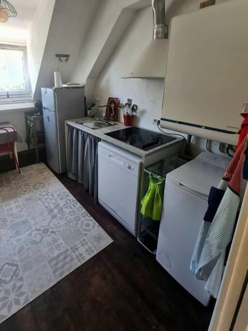 Appartement Centre Ville Terrasse Jardin Garage Chez Priscilla 欧里亚克 外观 照片
